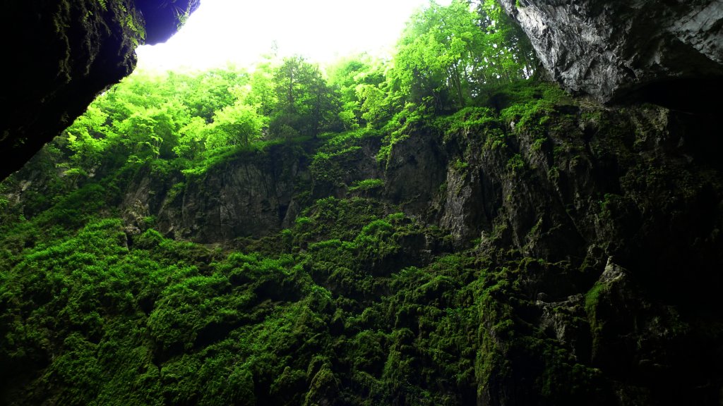 P1000692.JPG