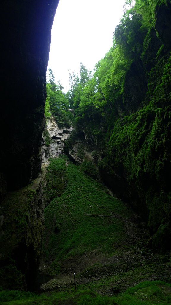 P1000695.JPG