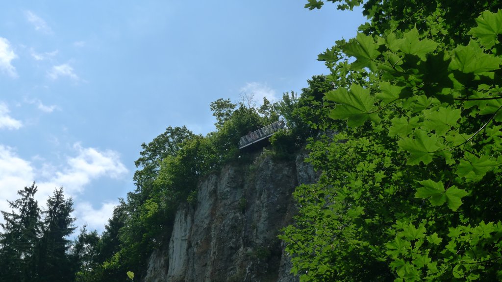 P1000771.JPG