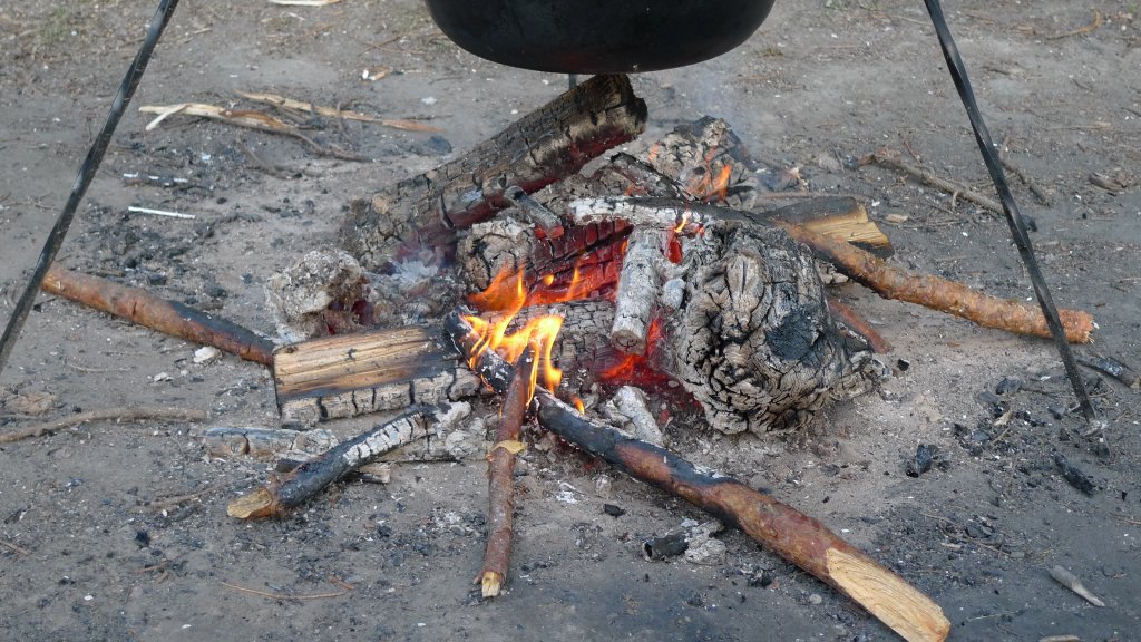 P1000859.JPG