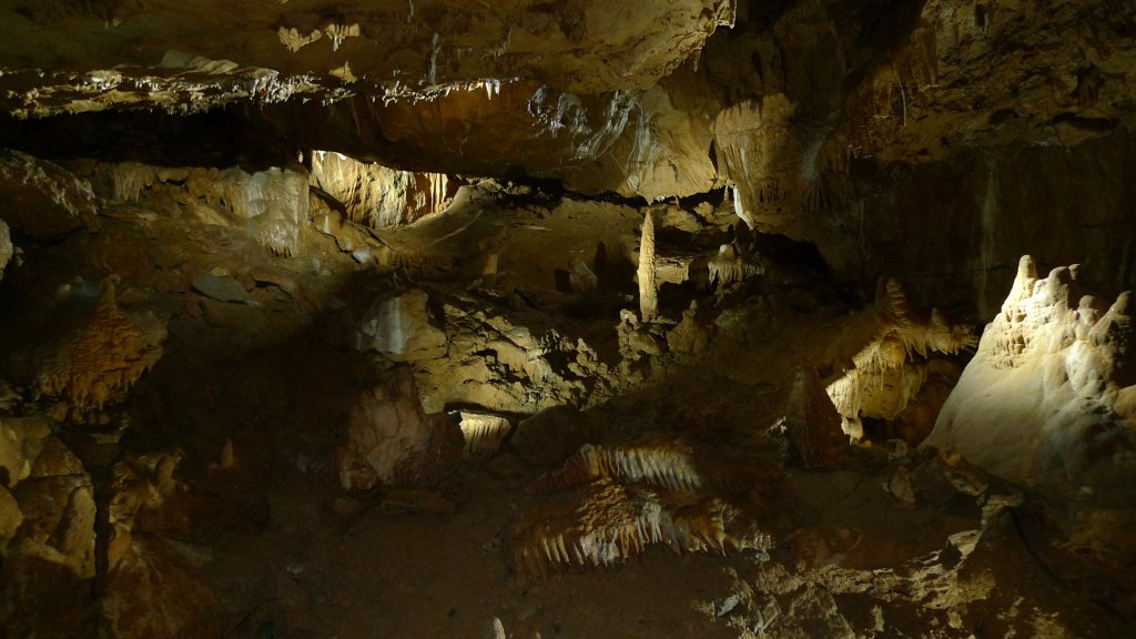 P1000892.JPG