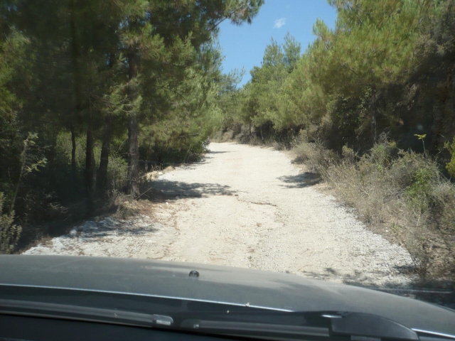 P1000580_Zmenit velikost.jpg