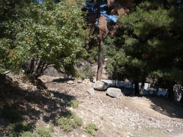 P1000618_Zmenit velikost.jpg